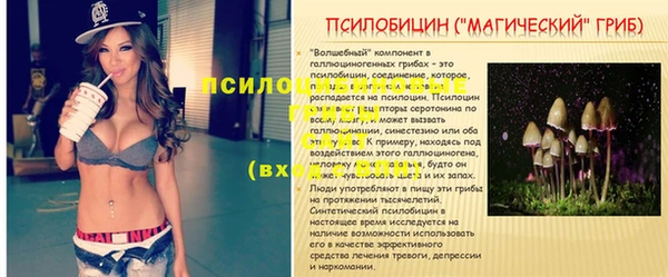 трава Киреевск