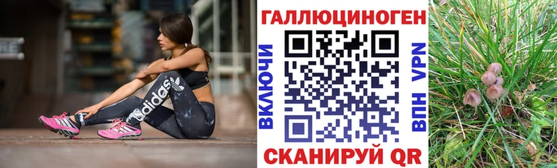 Галлюциногенные грибы прущие грибы  Купить где  Суровикино 